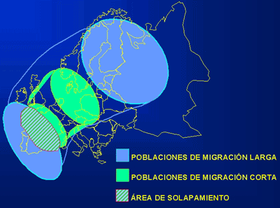 Áreas de cría e invernada